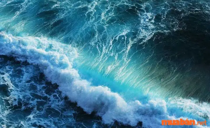 Ngủ Mơ Thấy Sóng Biển Lớn Chung Chung Thì Nên Đánh Con Số Mấy? Ngủ Mơ Thấy Sóng Biển Lớn Chung Chung Thì Nên Đánh Con Số Mấy?