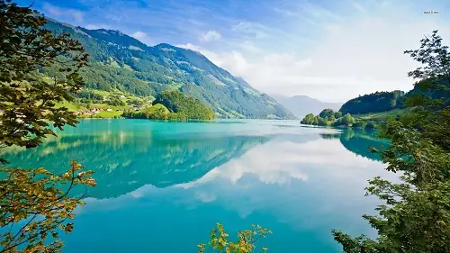 Bơi Lội Qua Dòng Nước Thể Hiện Sự Dũng Cảm Đối Mặt Khó Khăn.