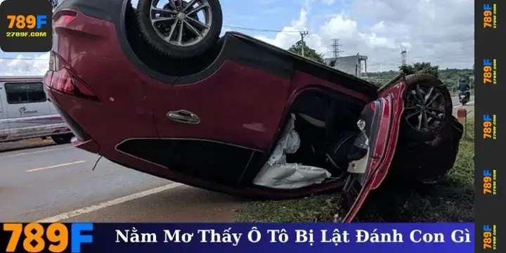 Bạn Nên Làm Gì Và Điều Chỉnh Tâm Lý Thế Nào Sau Khi Thức Dậy? Bạn Nên Làm Gì Và Điều Chỉnh Tâm Lý Thế Nào Sau Khi Thức Dậy?