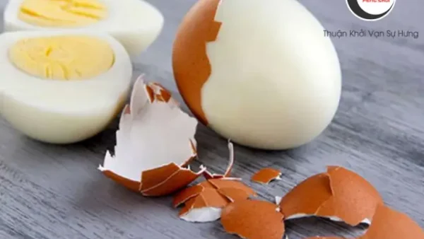 Giải Mã Giấc Mơ Thấy Trứng Vịt Là Điềm Gì? Đánh Con Số Mấy May Mắn?