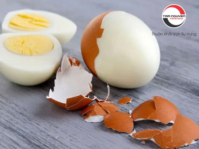 Giải Mã Giấc Mơ Thấy Trứng Vịt Là Điềm Gì? Đánh Con Số Mấy May Mắn?