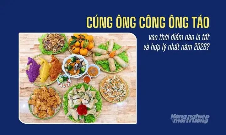 Giờ Tốt Cúng Ông Công Ông Táo 2027 Theo Tuổi: Ngày Giờ Đẹp Và Văn Khấn Chuẩn Xác