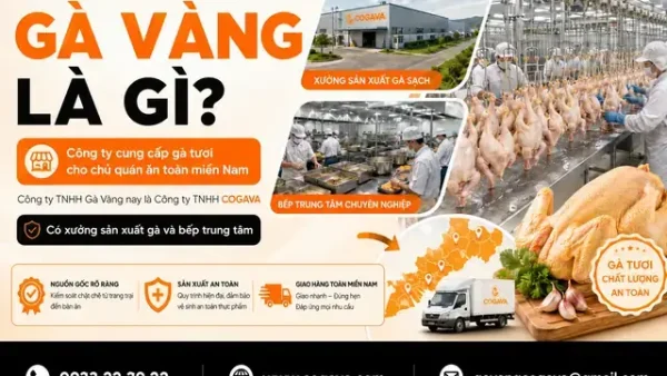 Hàng Cúng Đồ Ăn Là Gì? Phân Biệt, Ý Nghĩa Và Những Lưu Ý Quan Trọng Cần Biết