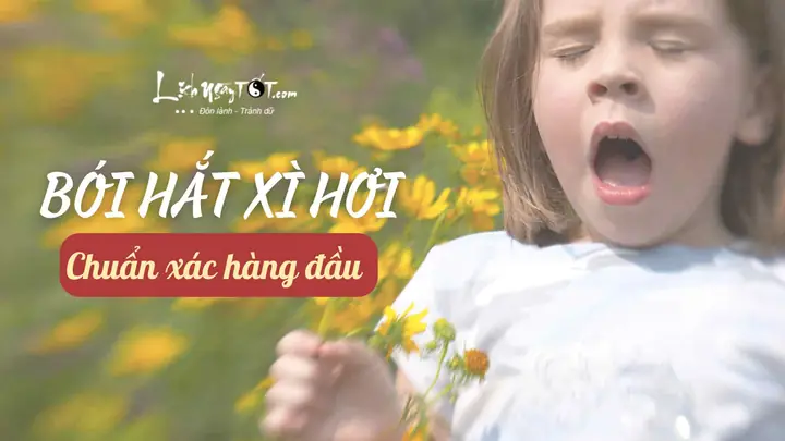 Hắt Xì Hơi 2 Cái Là Điềm Gì? Giải Mã Ý Nghĩa Nhảy Mũi 2 Lần Theo Tâm Linh Và Góc Nhìn Khoa Học