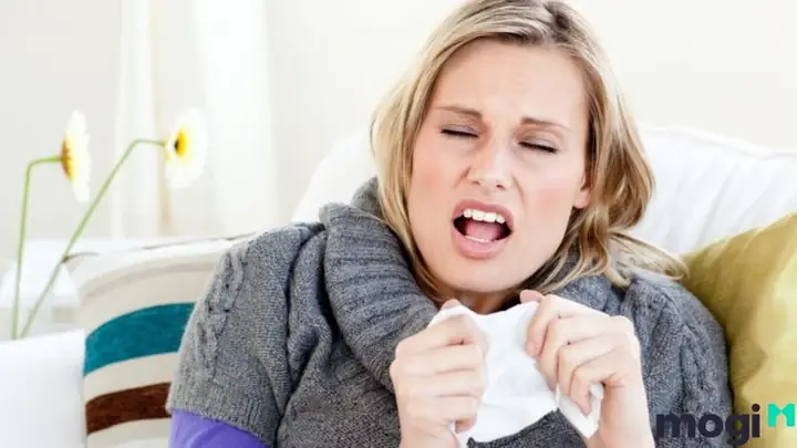 Hắt Xì Hơi 2 Cái Là Điềm Báo Gì Theo Quan Niệm Tâm Linh?