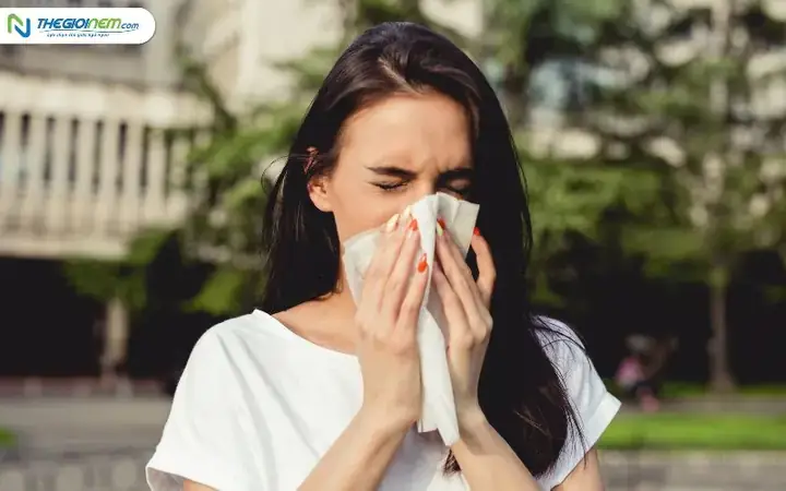 Hắt Xì Hơi Điềm Báo Gì? Giải Mã Ý Nghĩa Nhảy Mũi Theo Ngày Giờ Và Số Lần Hắt Xì Hơi Điềm Báo Gì? Giải Mã Ý Nghĩa Nhảy Mũi Theo Ngày Giờ Và Số Lần