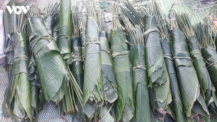 Ý Nghĩa Và Hình Ảnh Gói Nấu Bánh Chưng Thờ Cúng Tổ Tiên Ngày Tết Cổ Truyền Ý Nghĩa Và Hình Ảnh Gói Nấu Bánh Chưng Thờ Cúng Tổ Tiên Ngày Tết Cổ Truyền