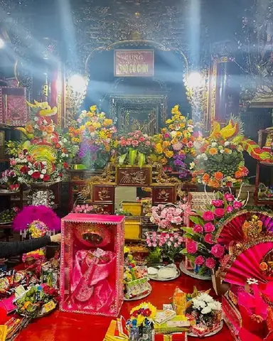 Hoa Cúng Cô Chín: Ý Nghĩa Linh Thiêng, Lựa Chọn Và Cách Bày Biện Mâm Lễ Chuẩn Xác Hoa Cúng Cô Chín: Ý Nghĩa Linh Thiêng, Lựa Chọn Và Cách Bày Biện Mâm Lễ Chuẩn Xác