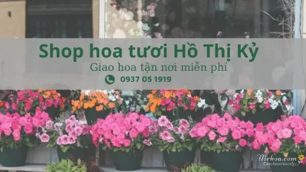 Kinh Nghiệm Mua Hoa Cúng Hồ Thị Kỷ Đẹp, Tươi Lâu Và Giá Tốt Nhất Năm 2026
