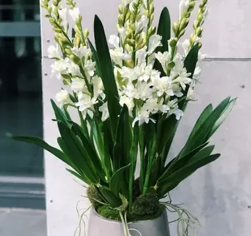 Hoa Cúng Mùng 1: Top Các Loại Hoa Dâng Bàn Thờ Rước Tài Lộc Và Bình An