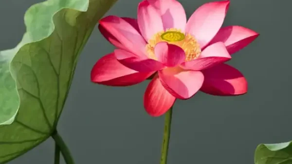 Hoa Hồng Cúng Phật Có Được Không? Ý Nghĩa Và Cách Dâng Trọn Lòng Thành