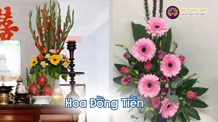 Hoa Huệ Có Cúng Rằm Được Không? Ý Nghĩa, Cách Chọn Và Các Loại Hoa Dâng Bàn Thờ Tốt Nhất Hoa Huệ Có Cúng Rằm Được Không? Ý Nghĩa, Cách Chọn Và Các Loại Hoa Dâng Bàn Thờ Tốt Nhất