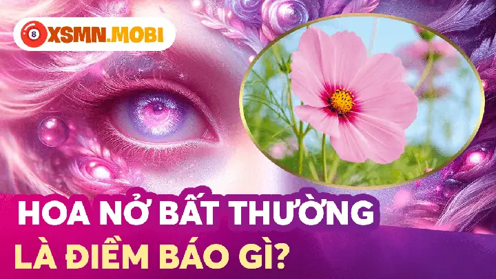 Hoa Rơi Trúng Người Ngoài Đời Thực Là Điềm Lành Hay Dữ?