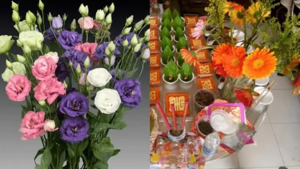 Hoa Tươi Cúng Thôi Nôi: Top Các Loài Hoa Mang Lại Bình An Và Tài Lộc Cho Bé