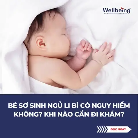 Khi Cúng Có Cần Đọc Sớ Không? Giải Đáp Nghi Thức Tín Ngưỡng Chuẩn Xác Nhất Khi Cúng Có Cần Đọc Sớ Không? Giải Đáp Nghi Thức Tín Ngưỡng Chuẩn Xác Nhất