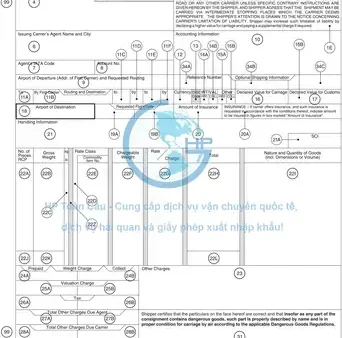 Khi Cúng Có Cần Đọc Sớ Không? Giải Đáp Nghi Thức Tín Ngưỡng Chuẩn Xác Nhất
