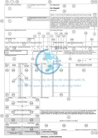 Khi Cúng Có Cần Đọc Sớ Không? Giải Đáp Nghi Thức Tín Ngưỡng Chuẩn Xác Nhất Khi Cúng Có Cần Đọc Sớ Không? Giải Đáp Nghi Thức Tín Ngưỡng Chuẩn Xác Nhất