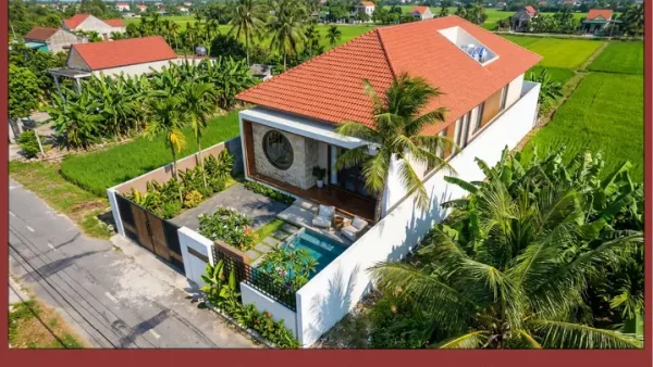 Khi Gặp Cú Có Điềm Báo Gì? Giải Mã Hiện Tượng Chim Cú Mèo Và Chim Lợn Theo Tâm Linh Lẫn Khoa Học