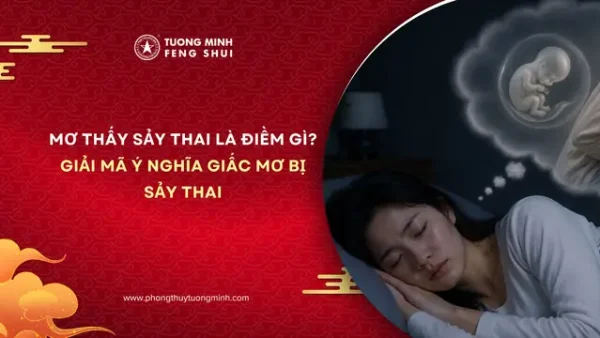 Không Có Thai Mơ Sảy Thai Là Điềm Gì? Giải Mã Ý Nghĩa Giấc Mơ Và Tâm Lý Học