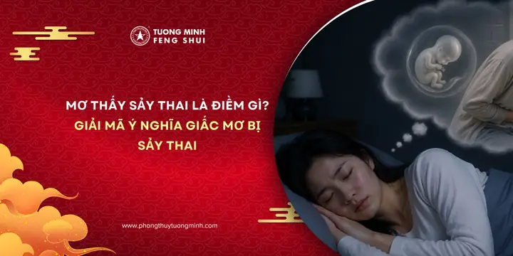 Không Có Thai Mơ Sảy Thai Là Điềm Gì? Giải Mã Ý Nghĩa Giấc Mơ Và Tâm Lý Học