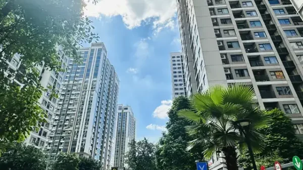 Kịch Bản Cúng Họ Chi Tiết: Hướng Dẫn Các Bước Tổ Chức Nghi Thức Trang Trọng Nhất