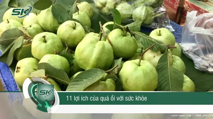 Tổng Hợp Các Loại Quả Kiêng Cúng Bàn Thờ Gia Tiên Cần Tránh Để Không Phạm Kỵ