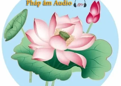 Kinh Cúng Chẩn Tế Hoa Vô Ưu: Nguồn Gốc, Ý Nghĩa Tâm Linh Và Nghi Thức Tụng Đọc Chi Tiết