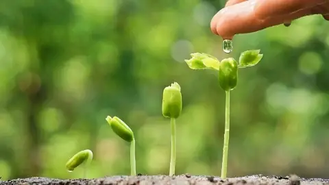 Giải Mã Từ Khóa Kỳ Lân Cúng Kinh Sư Là Gì Và Những Góc Nhìn Văn Hóa Phật Giáo Giải Mã Từ Khóa Kỳ Lân Cúng Kinh Sư Là Gì Và Những Góc Nhìn Văn Hóa Phật Giáo