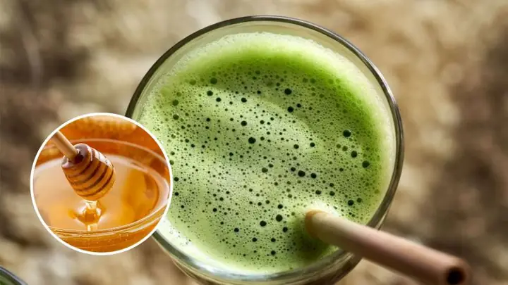 Thành Phần Dược Tính Và Cơ Chế Tác Động Của Lá Mơ Lông Kết Hợp Mật Ong Là Gì? Thành Phần Dược Tính Và Cơ Chế Tác Động Của Lá Mơ Lông Kết Hợp Mật Ong Là Gì?