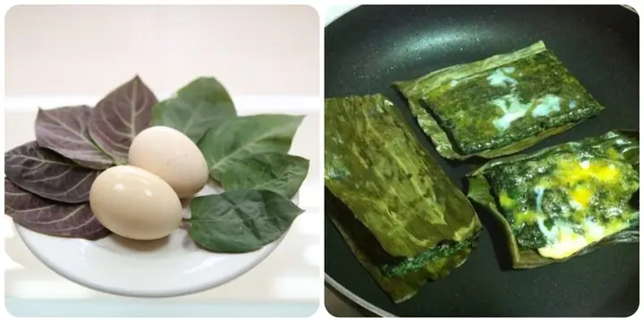 Lá Mơ Lông Với Trứng Gà Có Tác Dụng Gì? Cách Làm Bài Thuốc Chuẩn Vị Dân Gian Lá Mơ Lông Với Trứng Gà Có Tác Dụng Gì? Cách Làm Bài Thuốc Chuẩn Vị Dân Gian