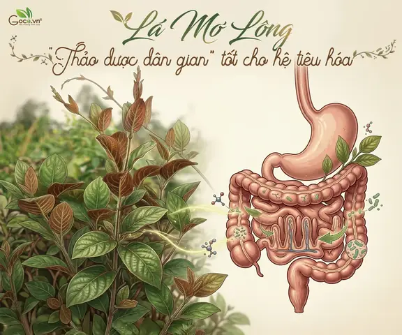 Ăn Nhiều Lá Mơ Lông Với Trứng Gà Có Gây Tác Hại Gì Không? Ăn Nhiều Lá Mơ Lông Với Trứng Gà Có Gây Tác Hại Gì Không?