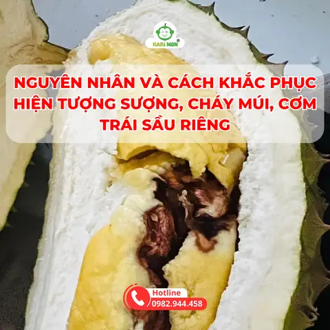 Làm Cơm Cúng Bị Cháy: Nguyên Nhân, Cách Xử Lý Nhanh Và Ý Nghĩa Điềm Báo