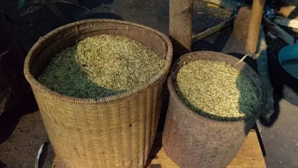 Lễ Cúng 3 Gà 3 Ché Rượu Mang Ý Nghĩa Gì Trong Phong Tục Truyền Thống?
