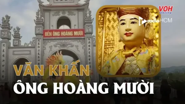 Gợi Ý Mâm Cúng Chay Tháng 10: Lễ Vật, Thực Đơn Và Bài Văn Khấn Chuẩn Nhất Năm 2027