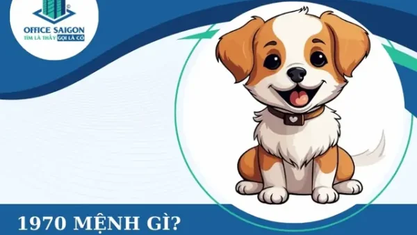 Cẩm Nang Lễ Cúng Dân Số Tuổi Canh Tuất Chuẩn Xác Và Đầy Đủ Nghi Thức Phong Thủy