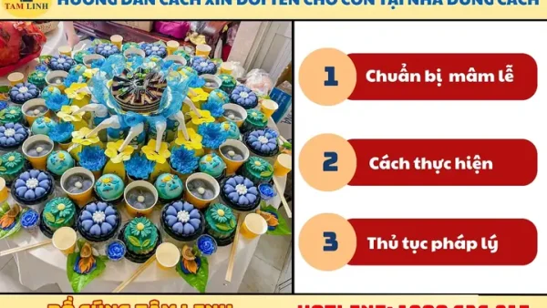 Lễ Cúng Đặt Lại Tên: Ý Nghĩa Tâm Linh, Hướng Dẫn Thủ Tục Và Những Lưu Ý Quan Trọng
