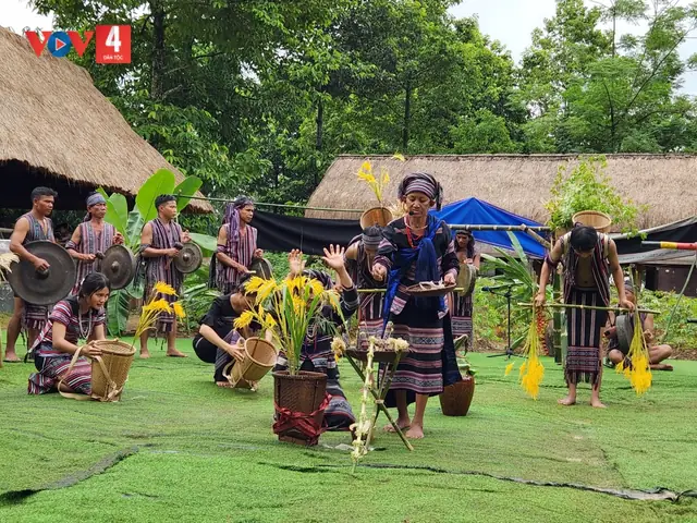 Lễ Cúng Gọi Hồn Lúa Là Gì? Tìm Hiểu Nét Đẹp Văn Hóa Tâm Linh Độc Đáo Của Đồng Bào Các Dân Tộc Lễ Cúng Gọi Hồn Lúa Là Gì? Tìm Hiểu Nét Đẹp Văn Hóa Tâm Linh Độc Đáo Của Đồng Bào Các Dân Tộc