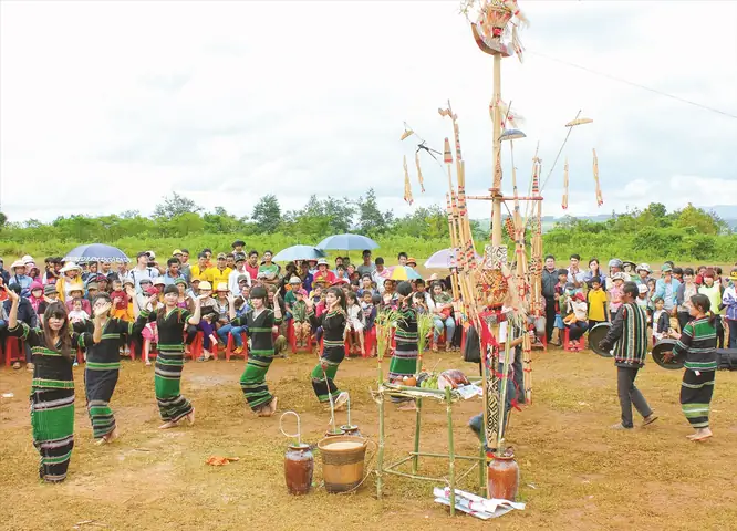 Tìm Hiểu Ý Nghĩa Và Các Bước Thực Hiện Lễ Cúng Hồn Lúa Của Người M'nông Độc Đáo Nhất Tìm Hiểu Ý Nghĩa Và Các Bước Thực Hiện Lễ Cúng Hồn Lúa Của Người M'nông Độc Đáo Nhất