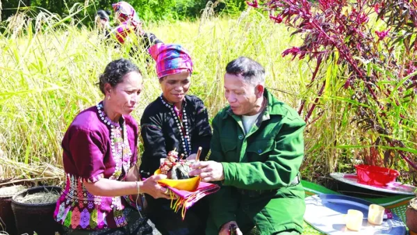 Lễ Cúng Lúa Mạ Ở Bảo Lâm: Nguồn Gốc, Ý Nghĩa Và Các Nghi Thức Truyền Thống