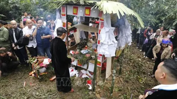 Lễ Cúng Mở Cửa Rừng Của Người Dao: Ý Nghĩa, Nghi Thức Độc Đáo Và Những Điều Bạn Chưa Biết