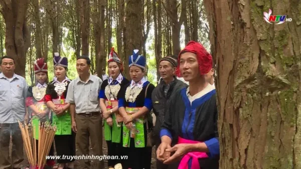 Lễ Cúng Rừng Của Người Mông: Nét Văn Hóa Tâm Linh Độc Đáo Và Ý Nghĩa Bảo Vệ Thiên Nhiên