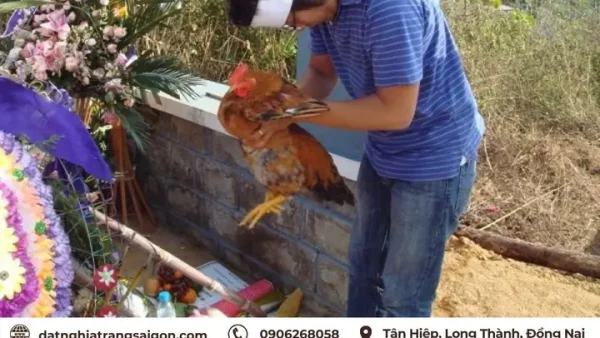 Lễ Cúng Tam Chiêu Là Gì? Ý Nghĩa, Nghi Thức Và Hướng Dẫn Chi Tiết