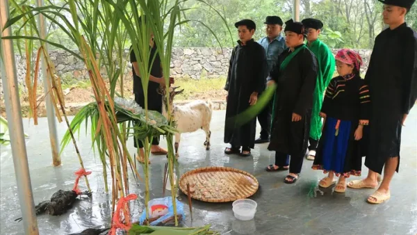 Lễ Cúng Thần Rừng Của Người Pu Péo: Nét Đẹp Văn Hóa Tín Ngưỡng Độc Đáo