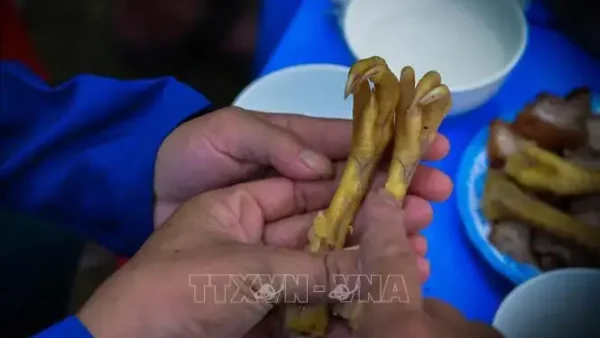 Khám Phá Lễ Cúng Thần Rừng Dân Tộc Mông Ở Lai Châu: Nét Đẹp Văn Hóa Tâm Linh Và Ý Nghĩa Bảo Vệ Môi Trường
