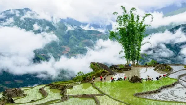 Lễ Cúng Trăng Oóm Om Bóc Là Gì Và Những Nét Văn Hóa Đặc Sắc Của Đồng Bào Khmer Nam Bộ
