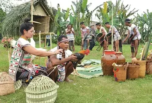 Lễ Cúng Yang Koi Của Người Mạ: Ý Nghĩa Văn Hóa Và Nghi Tôn Vinh Thần Lúa Truyền Thống