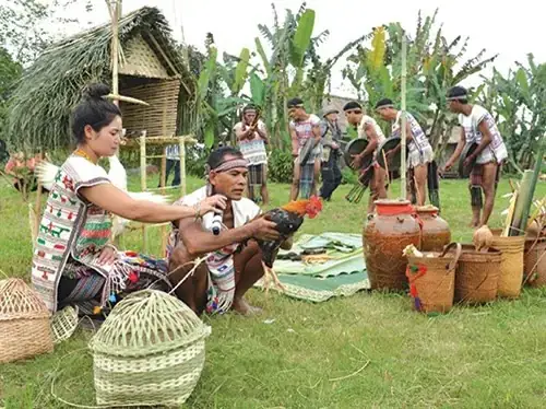 Lễ Cúng Yang Koi Của Người Mạ: Ý Nghĩa Văn Hóa Và Nghi Tôn Vinh Thần Lúa Truyền Thống Lễ Cúng Yang Koi Của Người Mạ: Ý Nghĩa Văn Hóa Và Nghi Tôn Vinh Thần Lúa Truyền Thống