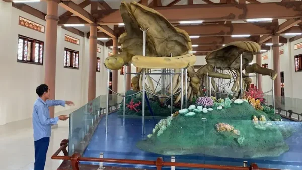 Lễ Hội Cúng Cá Ông Ở Quảng Ngãi: Nét Đẹp Tín Ngưỡng Và Nghi Thức Văn Hóa Biển Độc Đáo