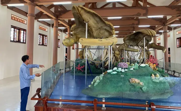 Lễ Hội Cúng Cá Ông Ở Quảng Ngãi: Nét Đẹp Tín Ngưỡng Và Nghi Thức Văn Hóa Biển Độc Đáo Lễ Hội Cúng Cá Ông Ở Quảng Ngãi: Nét Đẹp Tín Ngưỡng Và Nghi Thức Văn Hóa Biển Độc Đáo
