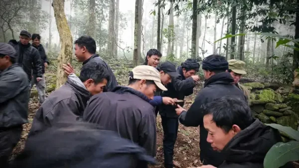 Khám Phá Lễ Hội Cúng Rừng Của Người Hà Nhì: Nét Đẹp Văn Hóa Tâm Linh Độc Đáo